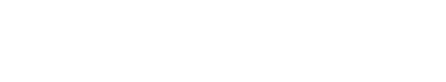 logos fiscal.png